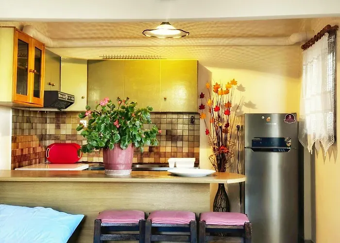 Vefa's Apartment- Nei